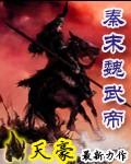 秦末魏武帝封面