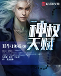 神权天赋封面