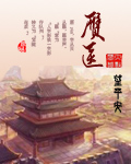 赝医封面