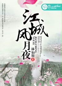 江城风月夜封面