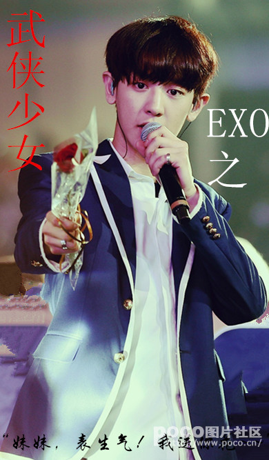 (EXO同人)EXO之武侠少女封面