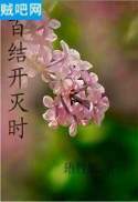 百结开灭时封面