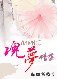 魂梦情落封面