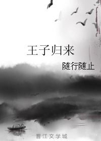 王子归来封面