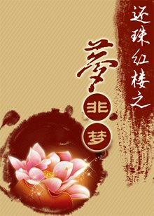 还珠红楼之梦非梦封面
