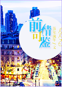 前情可鉴封面