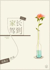 家长驾到封面