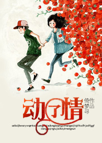 动了情封面