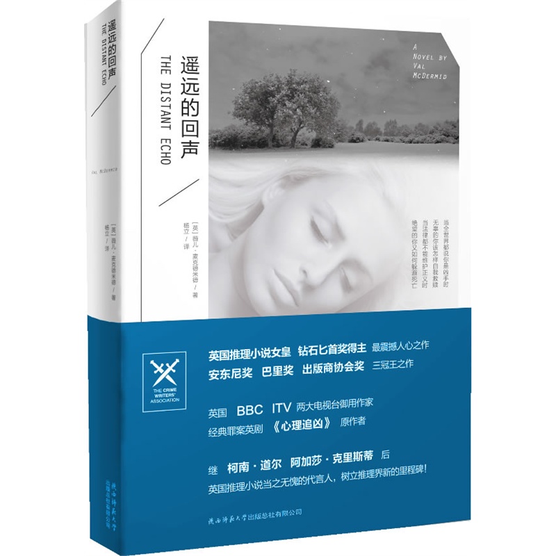 遥远的回声封面