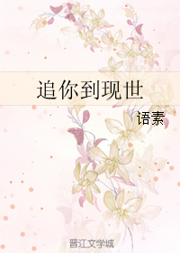 追你到现世封面