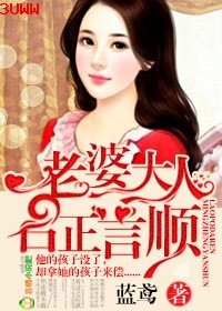 老婆大人,名正言顺封面