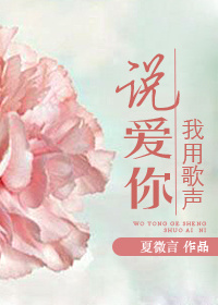 我用歌声说爱你 作者:夏微言封面