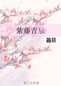 紫藤青辰封面