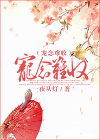 宠念难收封面