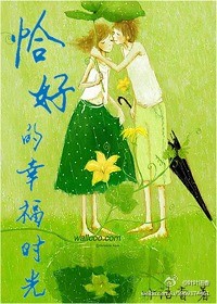 恰好的幸福时光封面