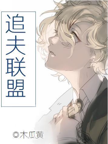 追夫联盟封面
