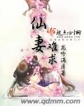 仙妻难求封面
