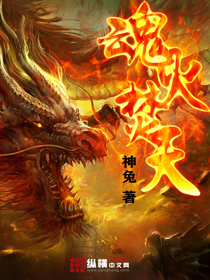 魂火焚天封面