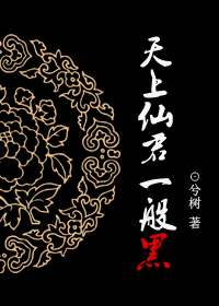 天上仙君一般黑封面