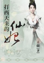 打西天来的仙妃封面