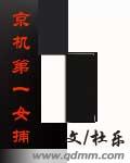 京机第一女捕封面