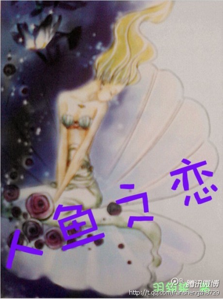 人鱼之恋封面