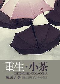 重生·小茶封面