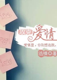 攻克爱情封面