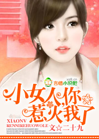 小女人,你惹火我了封面