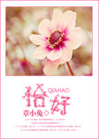 恰好封面