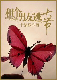 租个男友逃大节封面