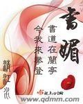 书媚封面