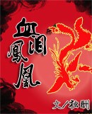 血泪凤凰封面