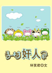 浮村奸人录封面