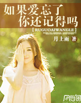 如果爱忘了,你还记得吗封面