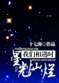 我们相遇时星光灿烂封面