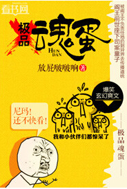 极品魂蛋封面