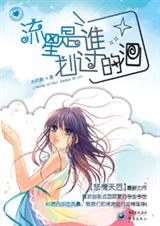 流星是谁划过的泪封面