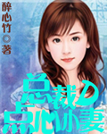 总裁的点心小妻封面