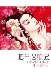 肥羊遇狼记封面