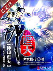 神印遮天封面