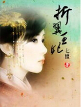 折翼王妃封面