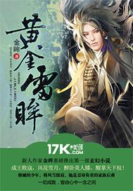 黄金雷眸封面