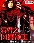 异界之风暴领主封面