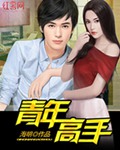 青年高手封面
