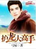 护龙大高手封面