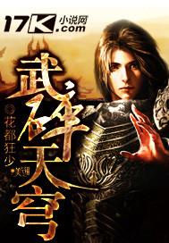 武碎天穹封面